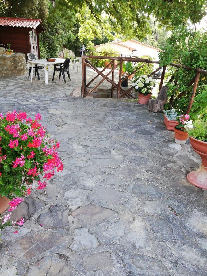 Villino Rosi Monteverdi Marittimo Exterior foto