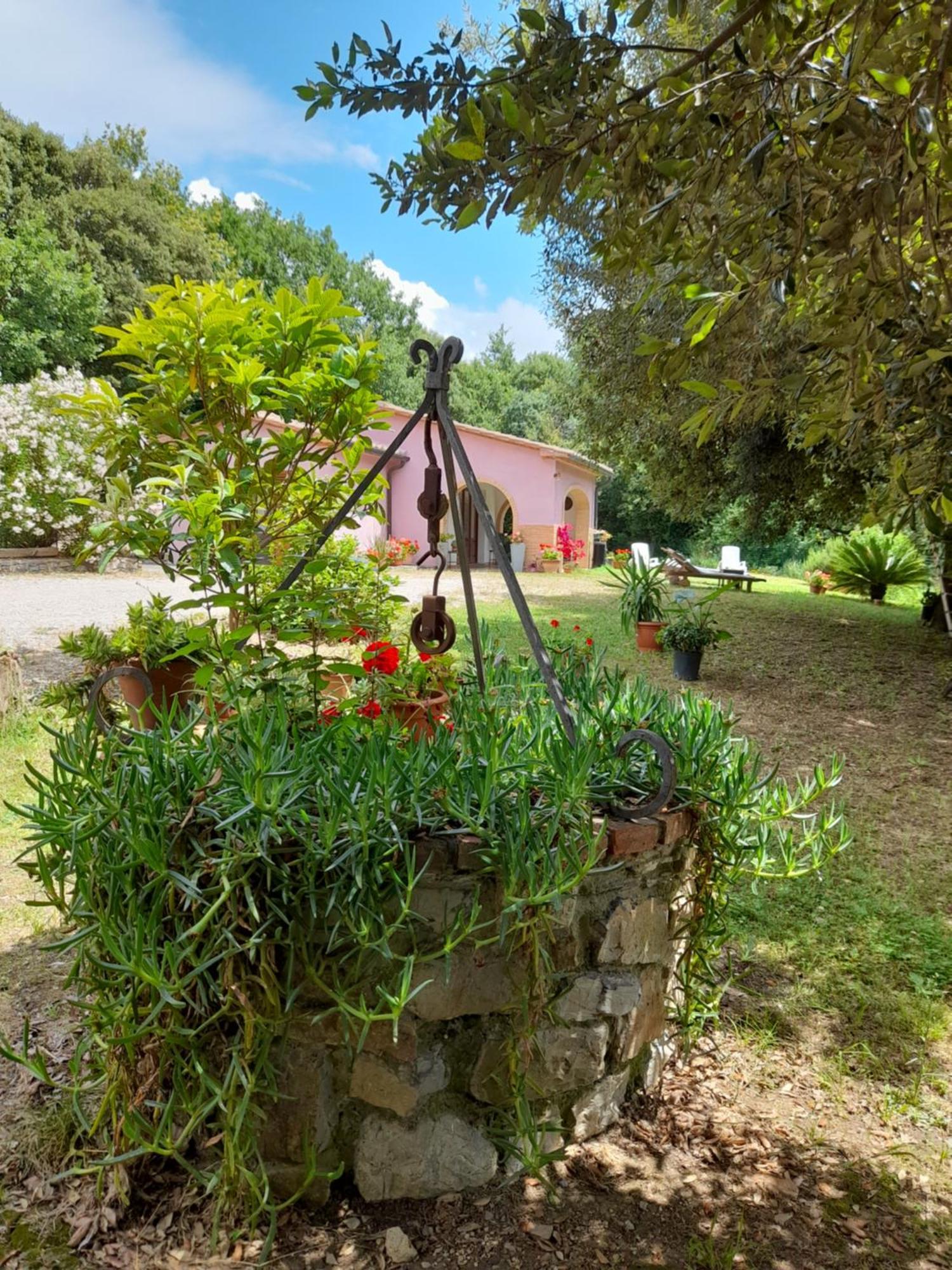 Villino Rosi Monteverdi Marittimo Exterior foto